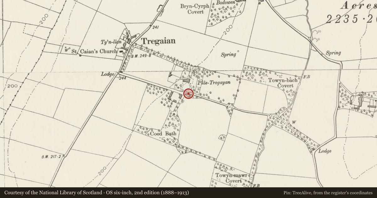 Ordnance Survey six-inch map, 2nd edition (1888–1913) covering the location of Gatepiers at Upper Lodge driveway to Plas Tregayan, Llanddyfnan, Isle of Anglesey, with a pin at the register's coordinates