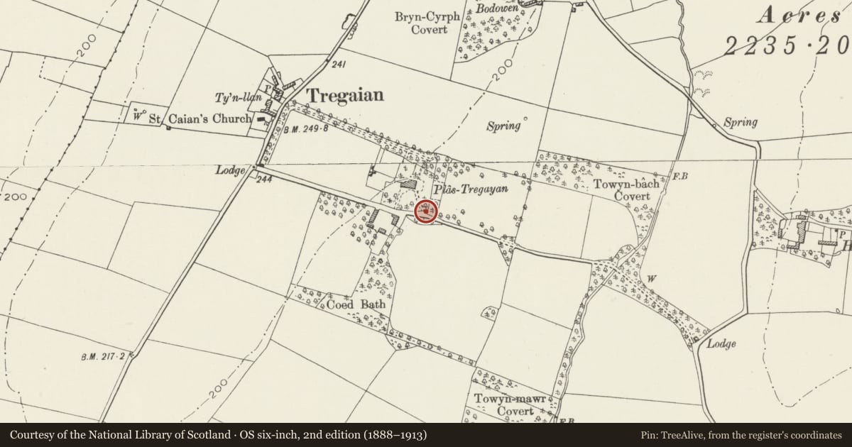 Ordnance Survey six-inch map, 2nd edition (1888–1913) covering the location of Gatepiers to main driveway to Plas Tregayan, Llanddyfnan, Isle of Anglesey, with a pin at the register's coordinates