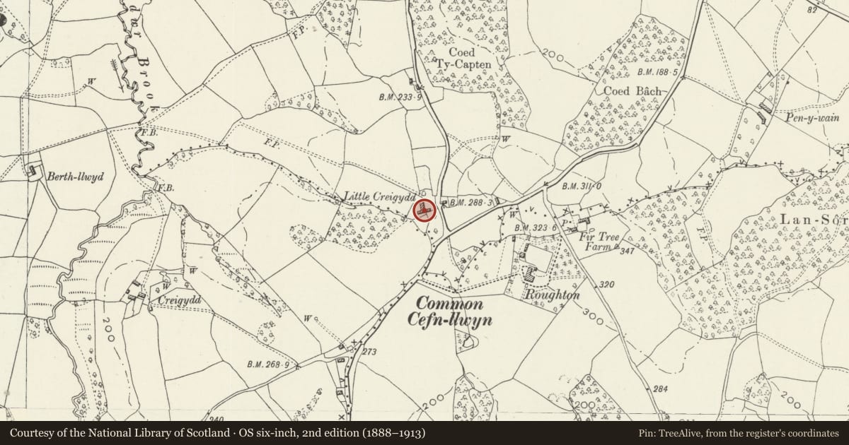 Ordnance Survey six-inch map, 2nd edition (1888–1913) covering the location of Little Creiggydd, Llangybi, Monmouthshire, with a pin at the register's coordinates