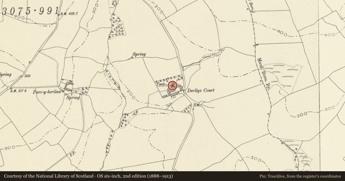 Ordnance Survey six-inch map, 2nd edition (1888–1913) covering the location of Derllys Court, Newchurch and Merthyr, Carmarthenshire, with a pin at the register's coordinates