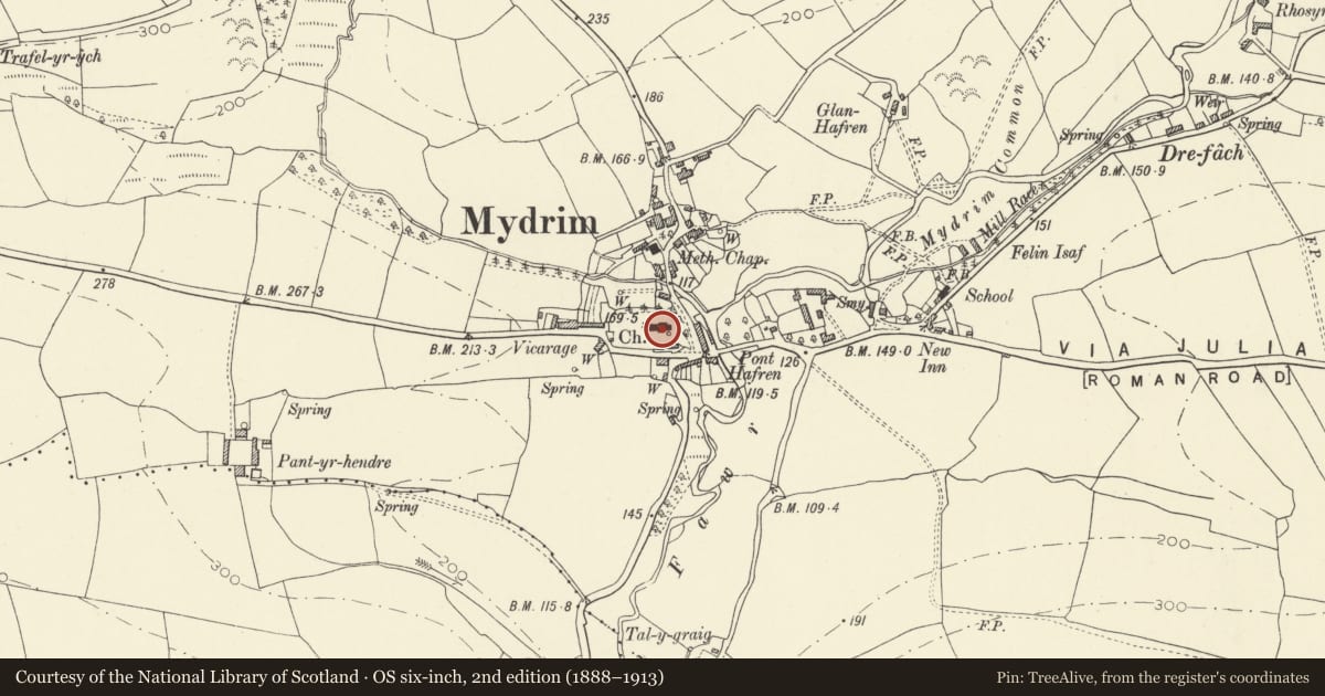 Ordnance Survey six-inch map, 2nd edition (1888–1913) covering the location of Church of St David, Meidrim, Carmarthenshire, with a pin at the register's coordinates
