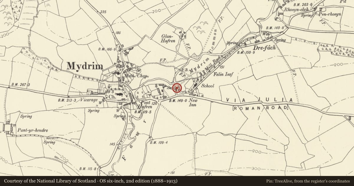 Ordnance Survey six-inch map, 2nd edition (1888–1913) covering the location of Smithy at Danyrhiw, Meidrim, Carmarthenshire, with a pin at the register's coordinates