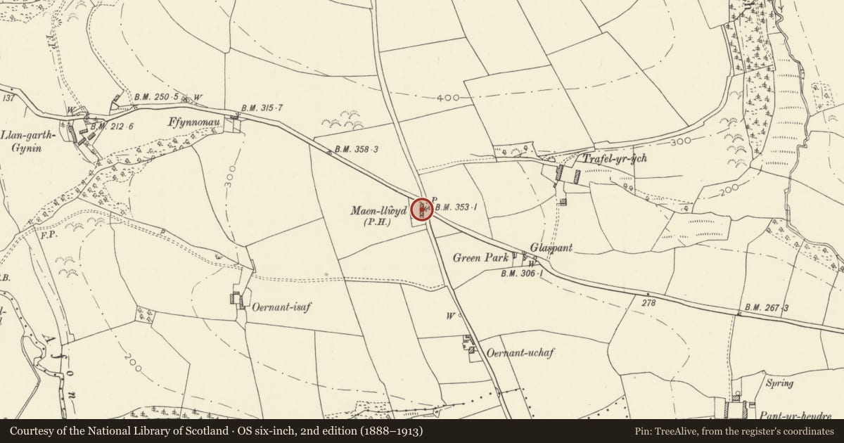 Ordnance Survey six-inch map, 2nd edition (1888–1913) covering the location of Maenllwyd, Meidrim, Carmarthenshire, with a pin at the register's coordinates