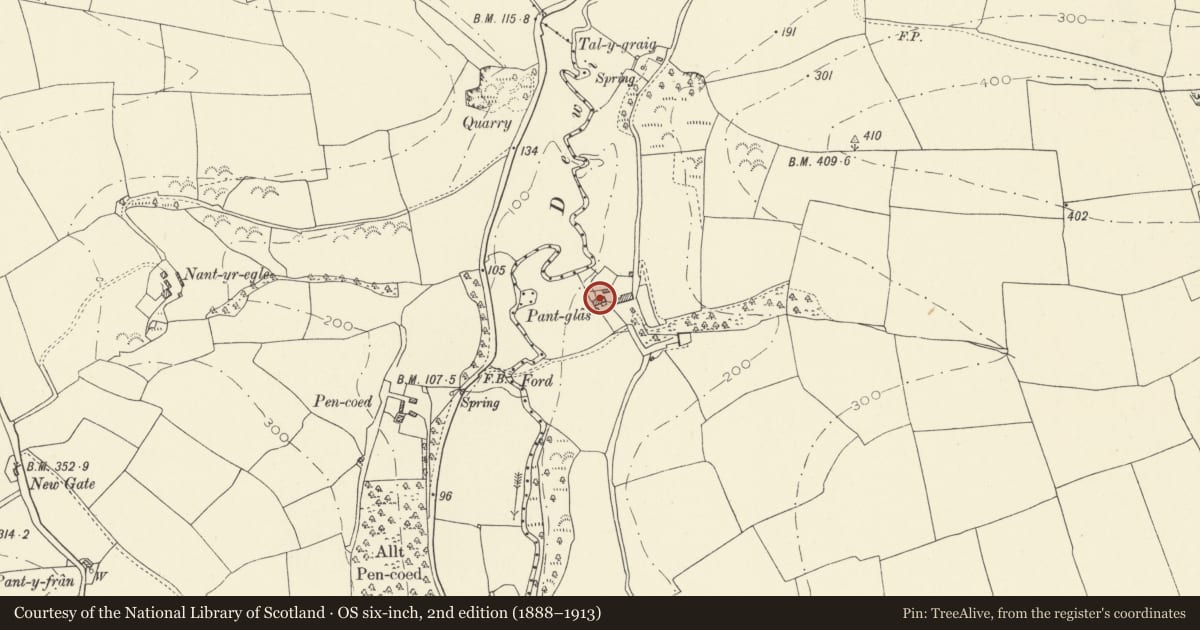 Ordnance Survey six-inch map, 2nd edition (1888–1913) covering the location of Pantglas, Meidrim, Carmarthenshire, with a pin at the register's coordinates