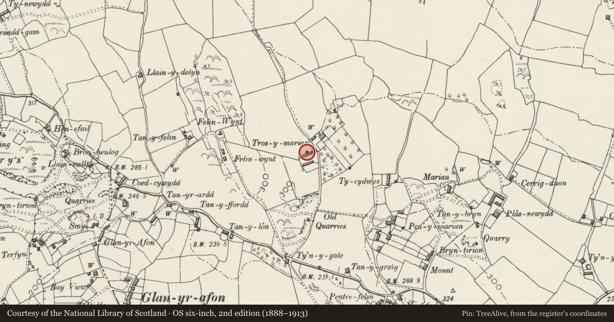 Ordnance Survey six-inch map, 2nd edition (1888–1913) covering the location of Cartshed range at Tros-y-marian, Llangoed, Isle of Anglesey, with a pin at the register's coordinates