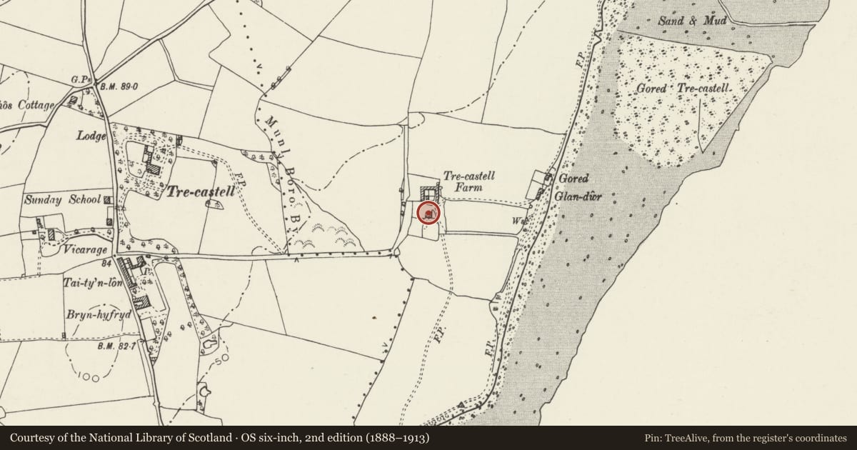 Ordnance Survey six-inch map, 2nd edition (1888–1913) covering the location of Trecastell Farm, Llangoed, Isle of Anglesey, with a pin at the register's coordinates