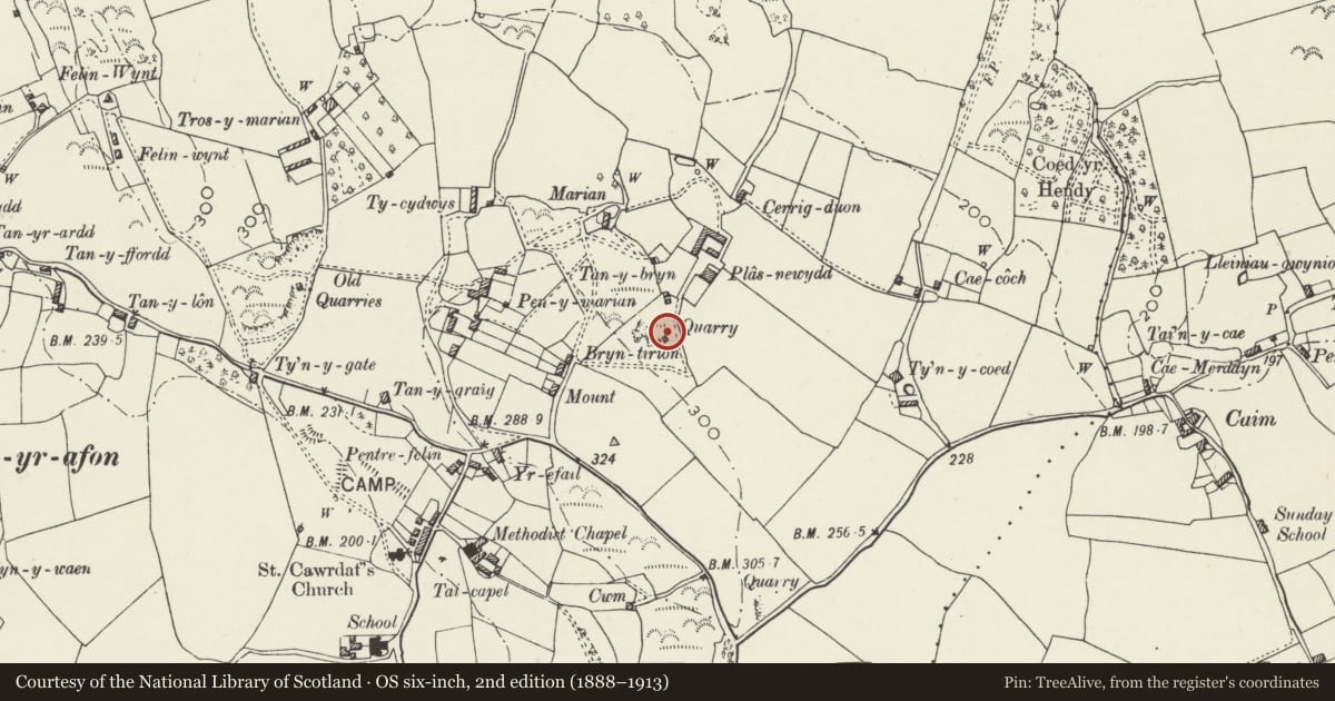 Ordnance Survey six-inch map, 2nd edition (1888–1913) covering the location of Limekiln at Plas Newydd, Llangoed, Isle of Anglesey, with a pin at the register's coordinates