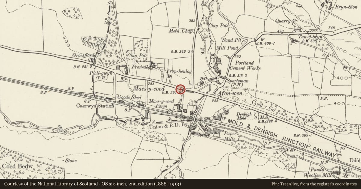 Ordnance Survey six-inch map, 2nd edition (1888–1913) covering the location of Milestone & drinking trough W of entrance to Maes-y-coed Farm, Caerwys, Flintshire, with a pin at the register's coordinates