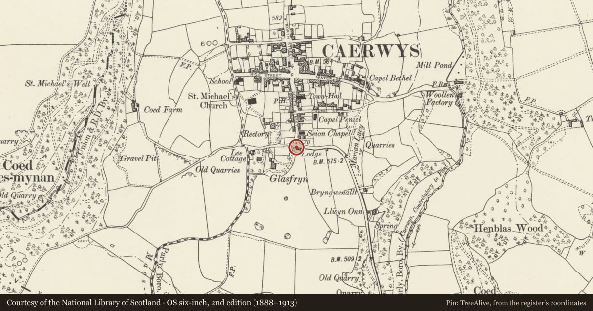 Ordnance Survey six-inch map, 2nd edition (1888–1913) covering the location of Glasfryn Lodge, Caerwys, Flintshire, with a pin at the register's coordinates