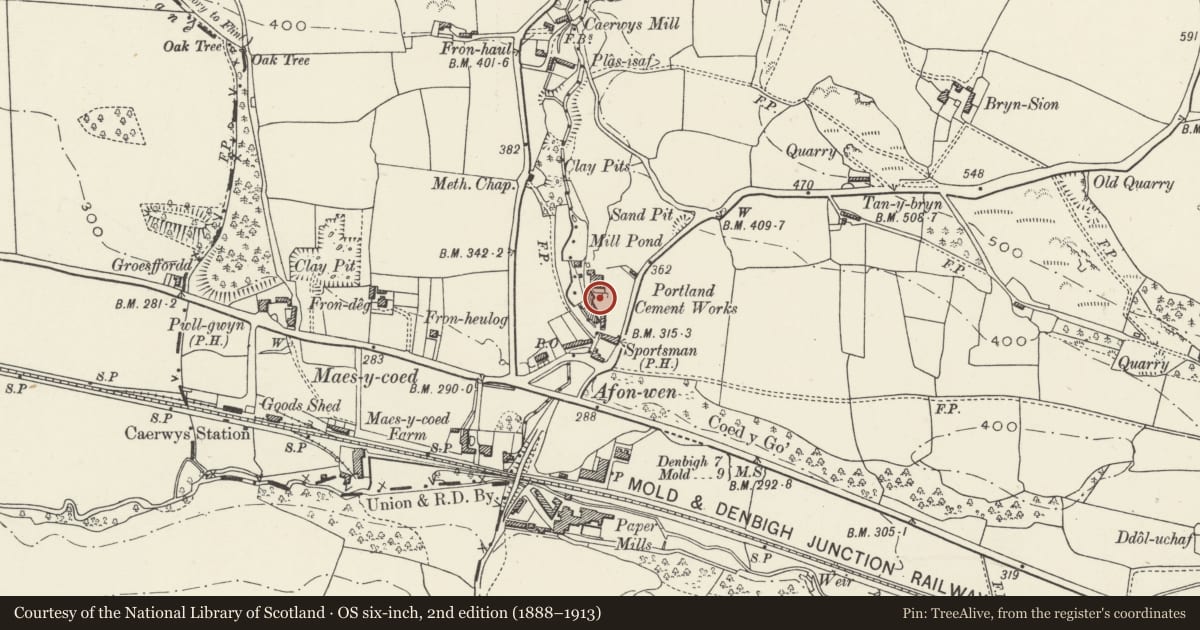 Ordnance Survey six-inch map, 2nd edition (1888–1913) covering the location of Row of kilns at former Afon Wen Portland Cement Works, Caerwys, Flintshire, with a pin at the register's coordinates