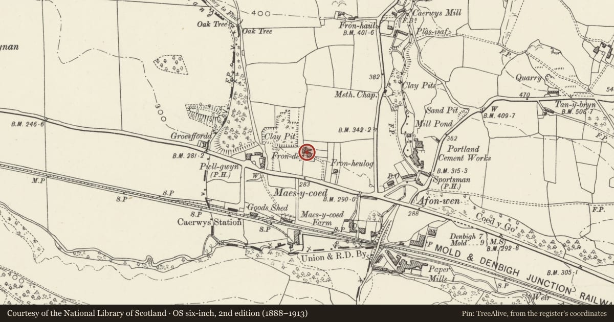 Ordnance Survey six-inch map, 2nd edition (1888–1913) covering the location of Frondeg, Caerwys, Flintshire, with a pin at the register's coordinates