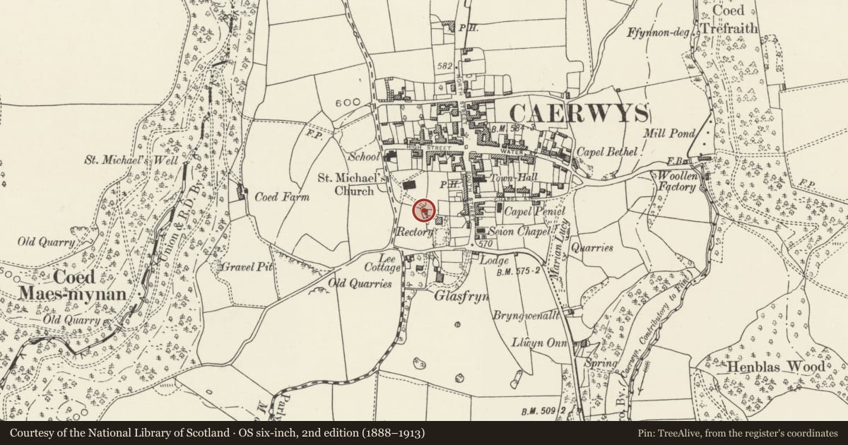 Ordnance Survey six-inch map, 2nd edition (1888–1913) covering the location of NW coach house at The Rectory, Caerwys, Flintshire, with a pin at the register's coordinates