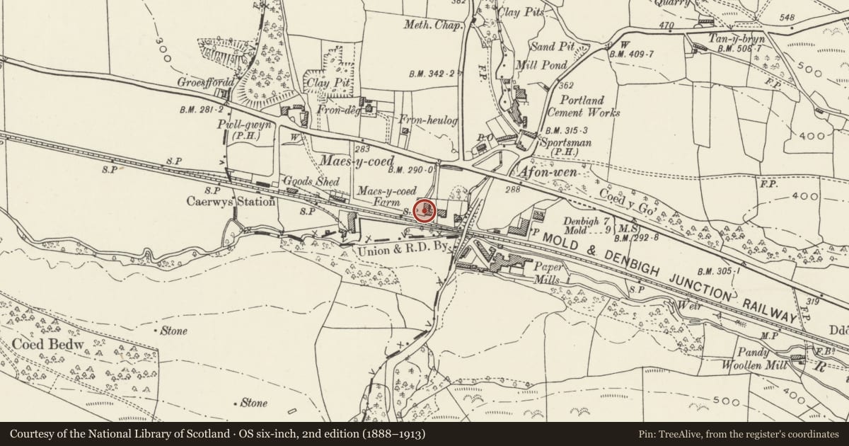 Ordnance Survey six-inch map, 2nd edition (1888–1913) covering the location of Agricultural Range at Maes-y-Coed Farm, Caerwys, Flintshire, with a pin at the register's coordinates