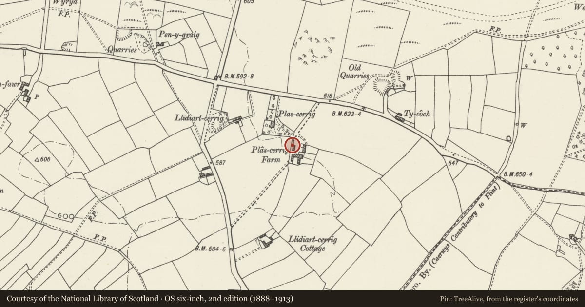 Ordnance Survey six-inch map, 2nd edition (1888–1913) covering the location of Barn, cart shed and granary at Plas Cerrig Farm, Caerwys, Flintshire, with a pin at the register's coordinates