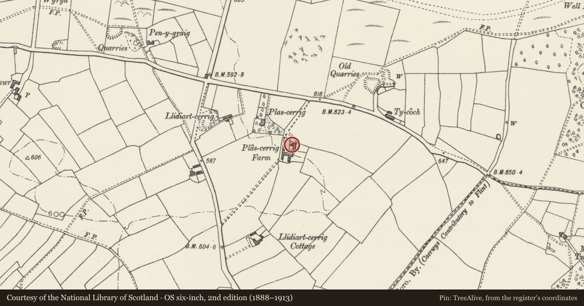 Ordnance Survey six-inch map, 2nd edition (1888–1913) covering the location of Cow shed at Plas Cerrig Farm, Caerwys, Flintshire, with a pin at the register's coordinates