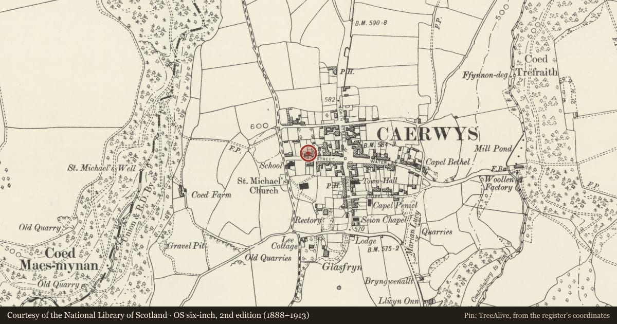 Ordnance Survey six-inch map, 2nd edition (1888–1913) covering the location of Berwyn Cottage, Caerwys, Flintshire, with a pin at the register's coordinates