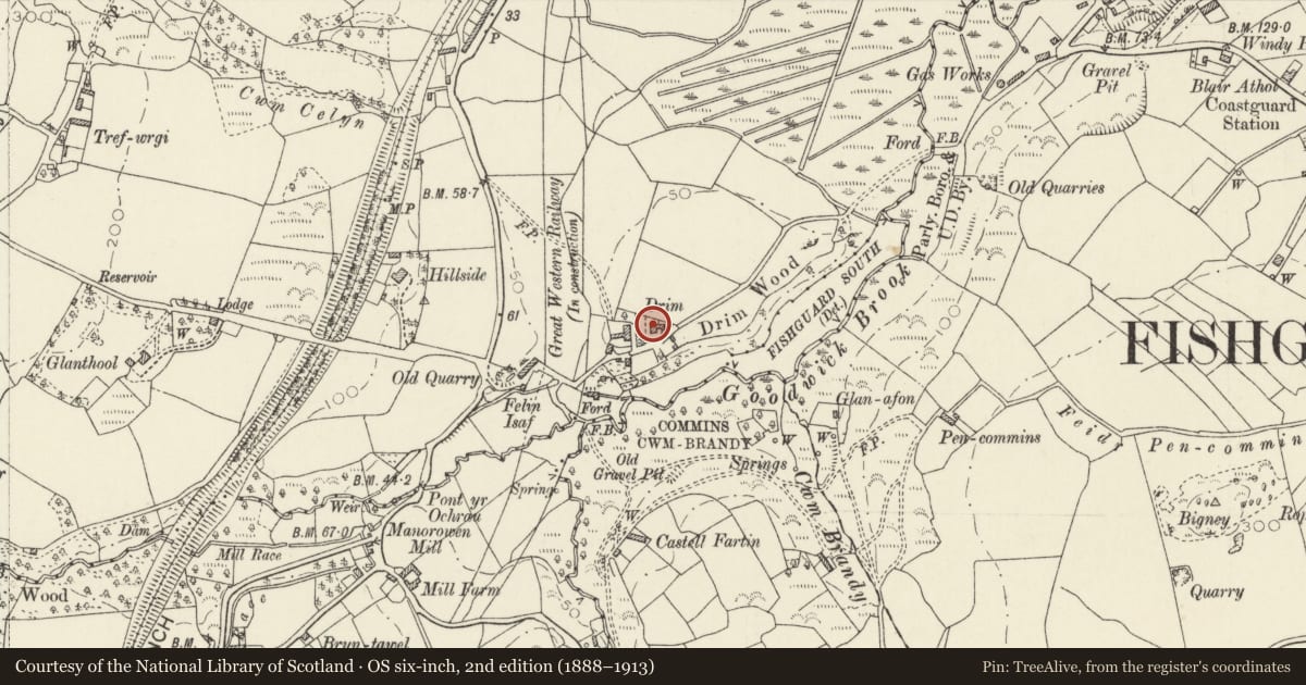Ordnance Survey six-inch map, 2nd edition (1888–1913) covering the location of The Drim, Fishguard and Goodwick, Pembrokeshire, with a pin at the register's coordinates