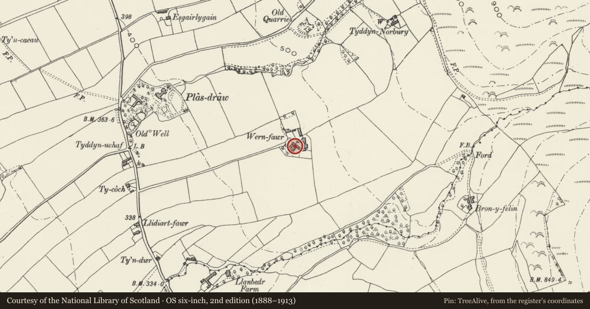 Ordnance Survey six-inch map, 2nd edition (1888–1913) covering the location of Wern-fawr Farmhouse, Llangynhafal, Denbighshire, with a pin at the register's coordinates