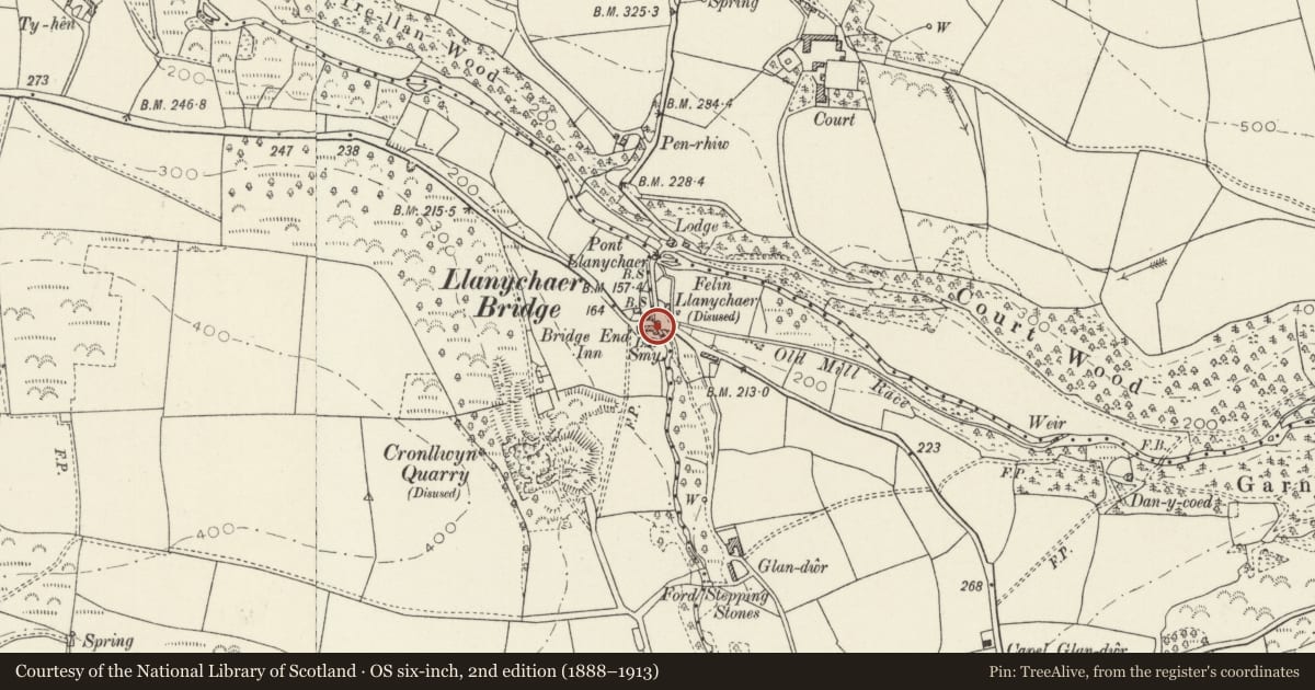 Ordnance Survey six-inch map, 2nd edition (1888–1913) covering the location of Boundary Stone, Cwm Gwaun, Pembrokeshire, with a pin at the register's coordinates