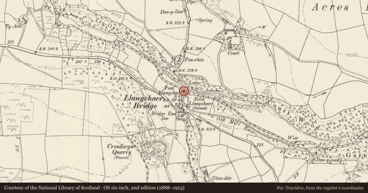 Ordnance Survey six-inch map, 2nd edition (1888–1913) covering the location of Pont Llanychaer, Cwm Gwaun, Pembrokeshire, with a pin at the register's coordinates