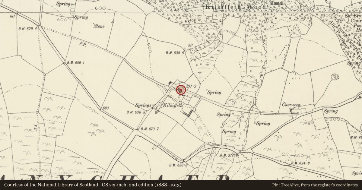 Ordnance Survey six-inch map, 2nd edition (1888–1913) covering the location of Cilciffeth, Cwm Gwaun, Pembrokeshire, with a pin at the register's coordinates