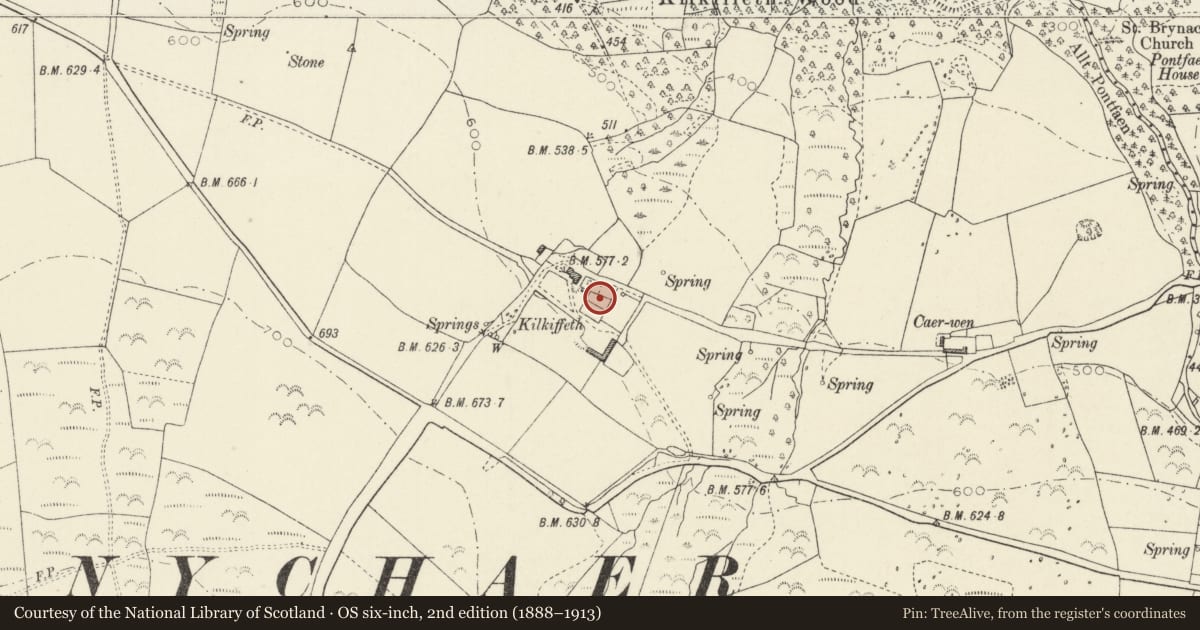 Ordnance Survey six-inch map, 2nd edition (1888–1913) covering the location of Vaulted undercroft at Cilciffeth, Cwm Gwaun, Pembrokeshire, with a pin at the register's coordinates