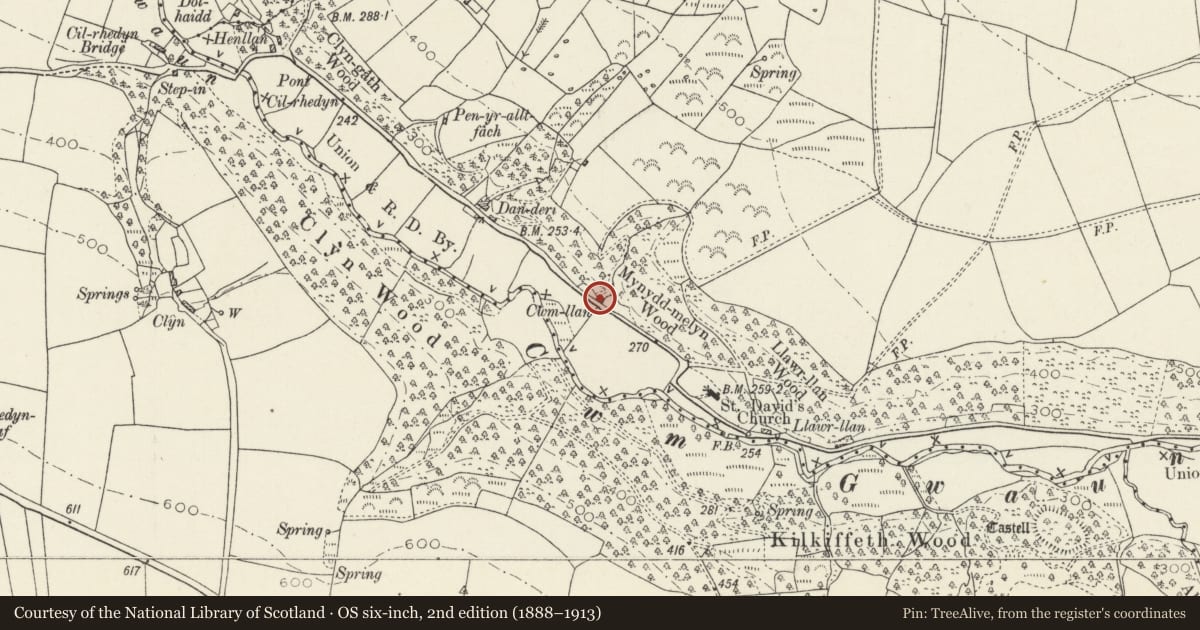 Ordnance Survey six-inch map, 2nd edition (1888–1913) covering the location of Cwm Llan, Cwm Gwaun, Pembrokeshire, with a pin at the register's coordinates