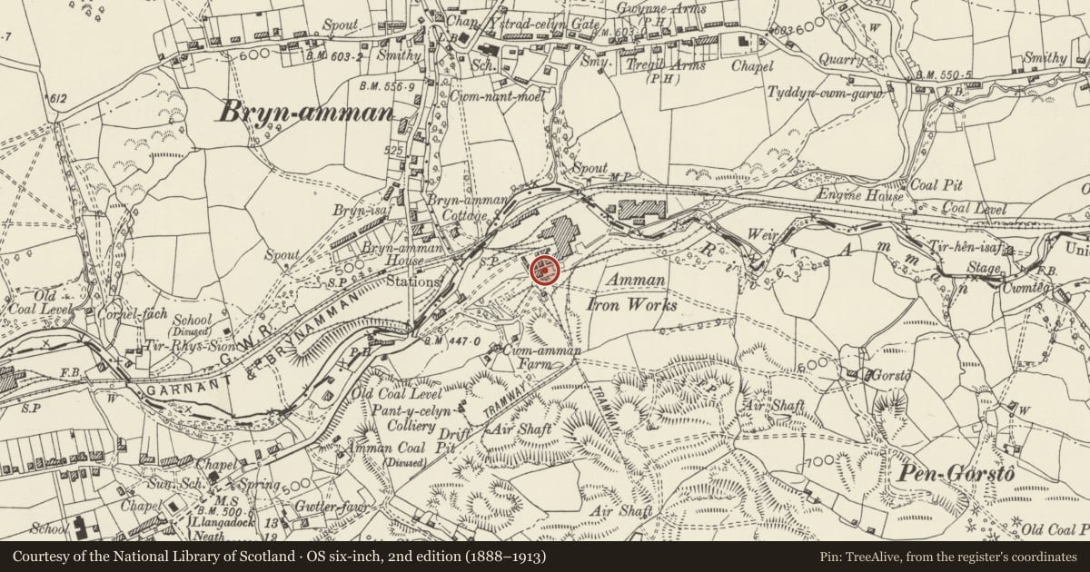 Ordnance Survey six-inch map, 2nd edition (1888–1913) covering the location of Furnace bank at former Amman Iron Works, Gwaun-Cae-Gurwen, Neath Port Talbot, with a pin at the register's coordinates