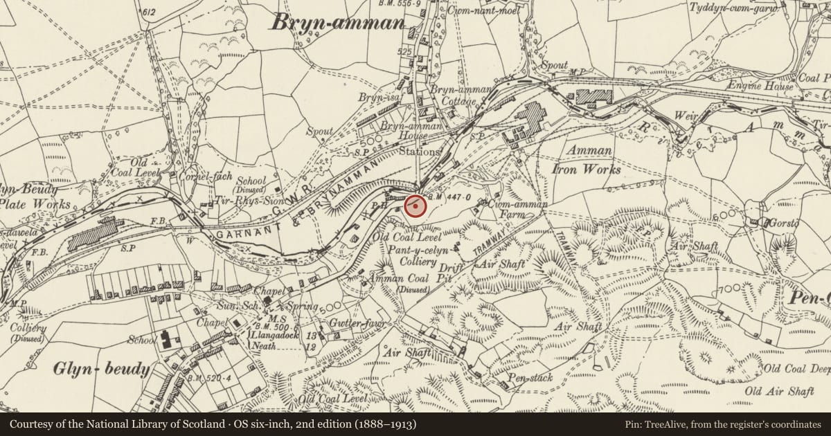 Ordnance Survey six-inch map, 2nd edition (1888–1913) covering the location of Brynamman War Memorial, Gwaun-Cae-Gurwen, Neath Port Talbot, with a pin at the register's coordinates