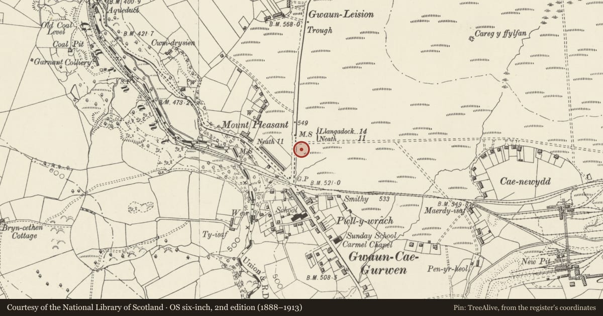 Ordnance Survey six-inch map, 2nd edition (1888–1913) covering the location of Gwaun-Cae-Gurwen War Memorial, Neath Port Talbot, with a pin at the register's coordinates