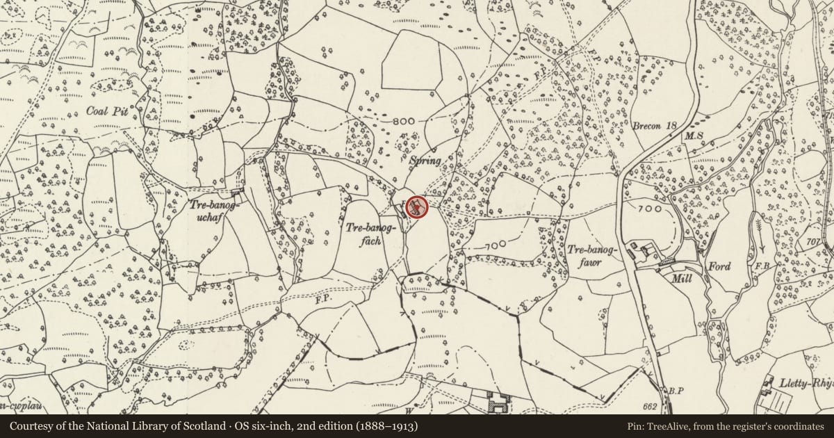Ordnance Survey six-inch map, 2nd edition (1888–1913) covering the location of Old house, with attached byre and barn at Trebanog Fach, Hirwaun, Rhondda Cynon Taff, with a pin at the register's coordinates