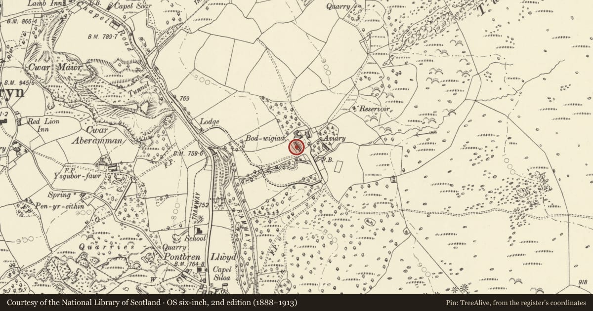 Ordnance Survey six-inch map, 2nd edition (1888–1913) covering the location of Agricultural range at Bodwigiad, Hirwaun, Rhondda Cynon Taff, with a pin at the register's coordinates