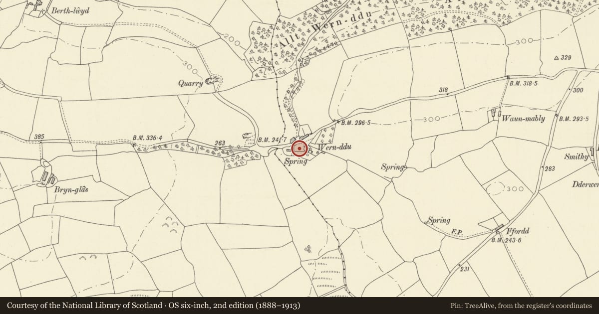 Ordnance Survey six-inch map, 2nd edition (1888–1913) covering the location of Wern Ddu, Llangain, Carmarthenshire, with a pin at the register's coordinates