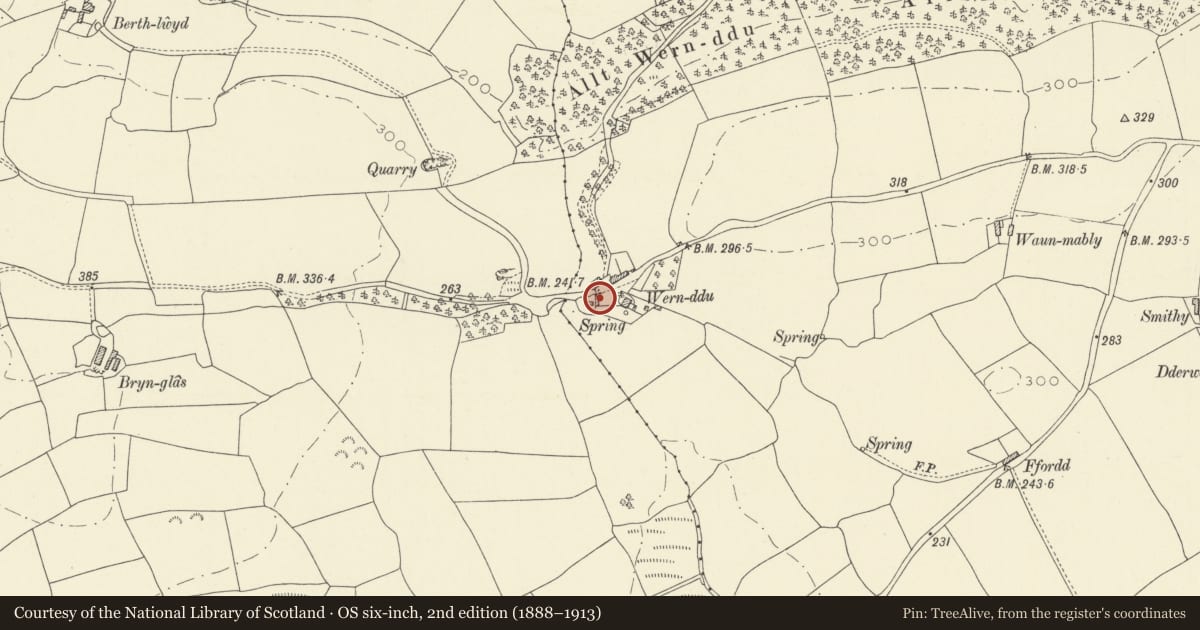 Ordnance Survey six-inch map, 2nd edition (1888–1913) covering the location of Outbuilding at Wern Ddu, Llangain, Carmarthenshire, with a pin at the register's coordinates