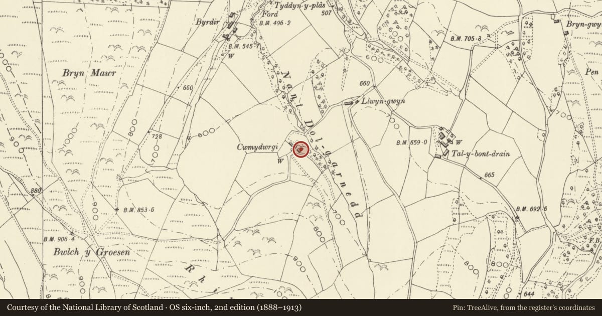 Ordnance Survey six-inch map, 2nd edition (1888–1913) covering the location of Cwm y Dwrgi, Cadfarch, Powys, with a pin at the register's coordinates