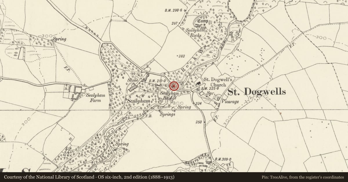 Ordnance Survey six-inch map, 2nd edition (1888–1913) covering the location of Sealyham Bridge, Wolfscastle, Pembrokeshire, with a pin at the register's coordinates