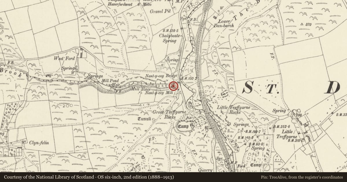 Ordnance Survey six-inch map, 2nd edition (1888–1913) covering the location of Nantycoy Mill, Wolfscastle, Pembrokeshire, with a pin at the register's coordinates