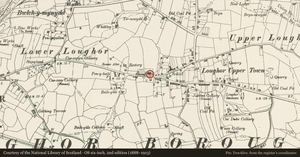 Ordnance Survey six-inch map, 2nd edition (1888–1913) covering the location of Gates and railings at Capel Moriah, Llwchwr, Swansea, with a pin at the register's coordinates
