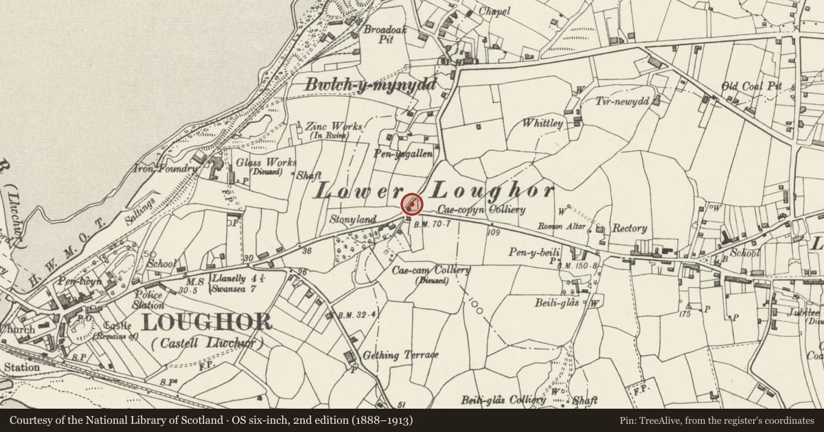 Ordnance Survey six-inch map, 2nd edition (1888–1913) covering the location of The War Memorial, Llwchwr, Swansea, with a pin at the register's coordinates