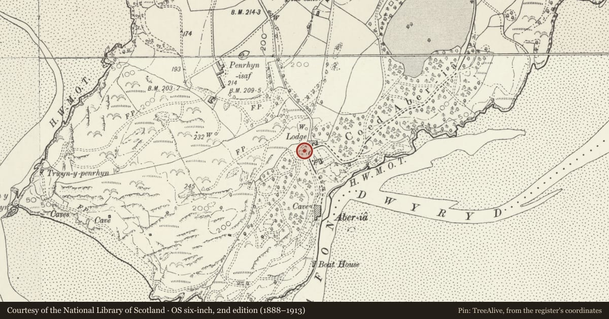 Ordnance Survey six-inch map, 2nd edition (1888–1913) covering the location of Revetment Wall Immediately N of The Arches, Including Associated Columnar and Urn Monuments, Penrhyndeudraeth, Gwynedd, with a pin at the register's coordinates