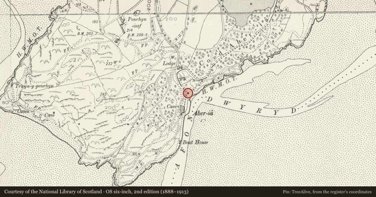 Ordnance Survey six-inch map, 2nd edition (1888–1913) covering the location of Monument Immediately E of Fountain, Penrhyndeudraeth, Gwynedd, with a pin at the register's coordinates
