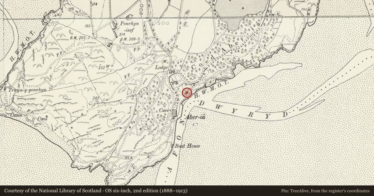 Ordnance Survey six-inch map, 2nd edition (1888–1913) covering the location of Aedicular Niche to the N of the Swimming Pool, Penrhyndeudraeth, Gwynedd, with a pin at the register's coordinates
