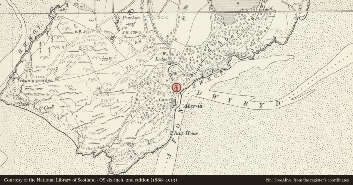 Ordnance Survey six-inch map, 2nd edition (1888–1913) covering the location of Chinese Gateway, Steps and Railings to Anchor, Including Associated Wall with Enclosure to N, Penrhyndeudraeth, Gwynedd, with a pin at the register's coordinates