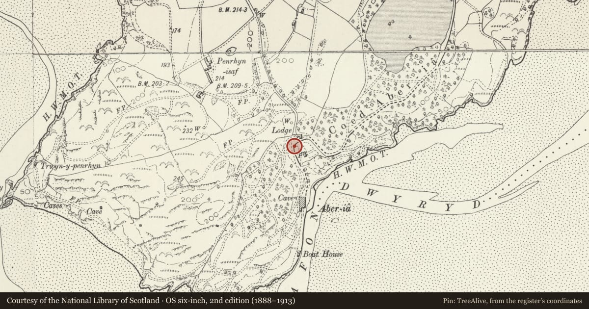 Ordnance Survey six-inch map, 2nd edition (1888–1913) covering the location of Walls and Gateways Edging the Central Piazza to the NW, Penrhyndeudraeth, Gwynedd, with a pin at the register's coordinates