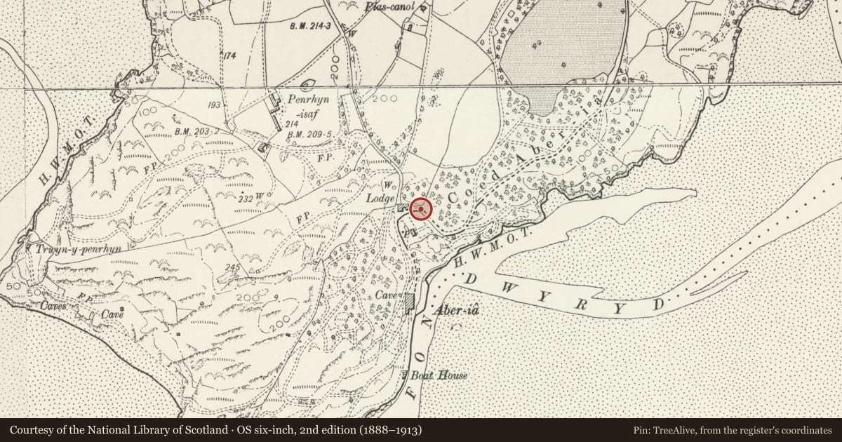 Ordnance Survey six-inch map, 2nd edition (1888–1913) covering the location of Neo-Jacobean Gateway and Adjoining Walls to the NE of the Central Piazza, Penrhyndeudraeth, Gwynedd, with a pin at the register's coordinates