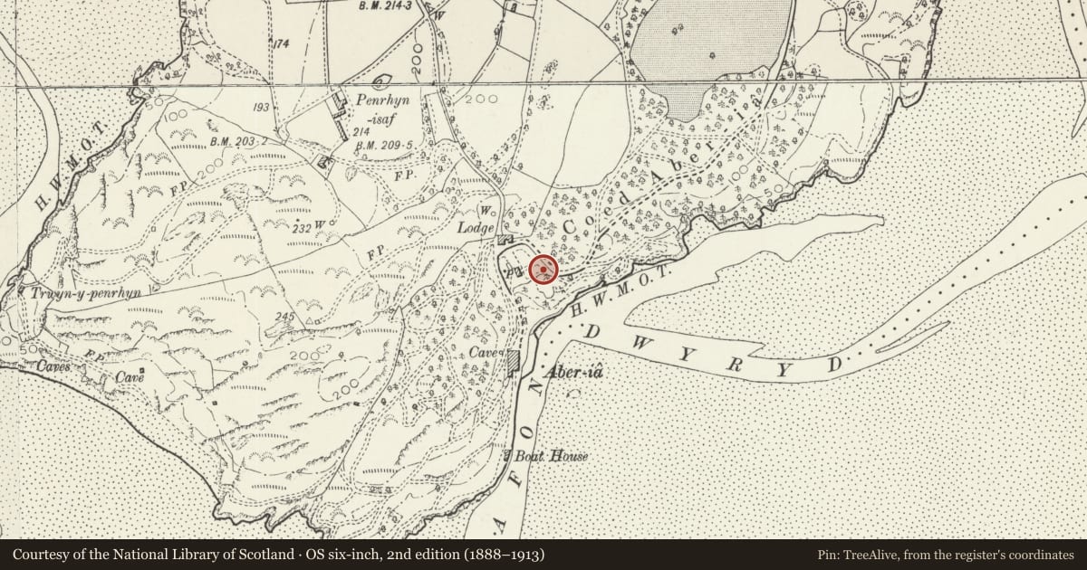 Ordnance Survey six-inch map, 2nd edition (1888–1913) covering the location of Steps, Piers and Associated Cobbled Pavement Descending From Ladies Lodge to the Hercules Statue, Penrhyndeudraeth, Gwynedd, with a pin at the register's coordinates
