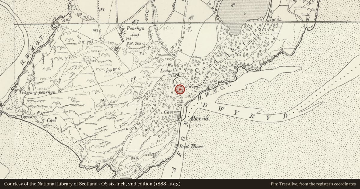 Ordnance Survey six-inch map, 2nd edition (1888–1913) covering the location of Bandstand and Adjoining Flight of Descending Steps (the Hercules Steps), Penrhyndeudraeth, Gwynedd, with a pin at the register's coordinates
