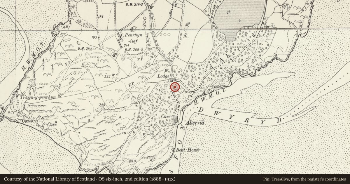 Ordnance Survey six-inch map, 2nd edition (1888–1913) covering the location of Pond, Walls and Steps Immediately E of Trinity, Penrhyndeudraeth, Gwynedd, with a pin at the register's coordinates