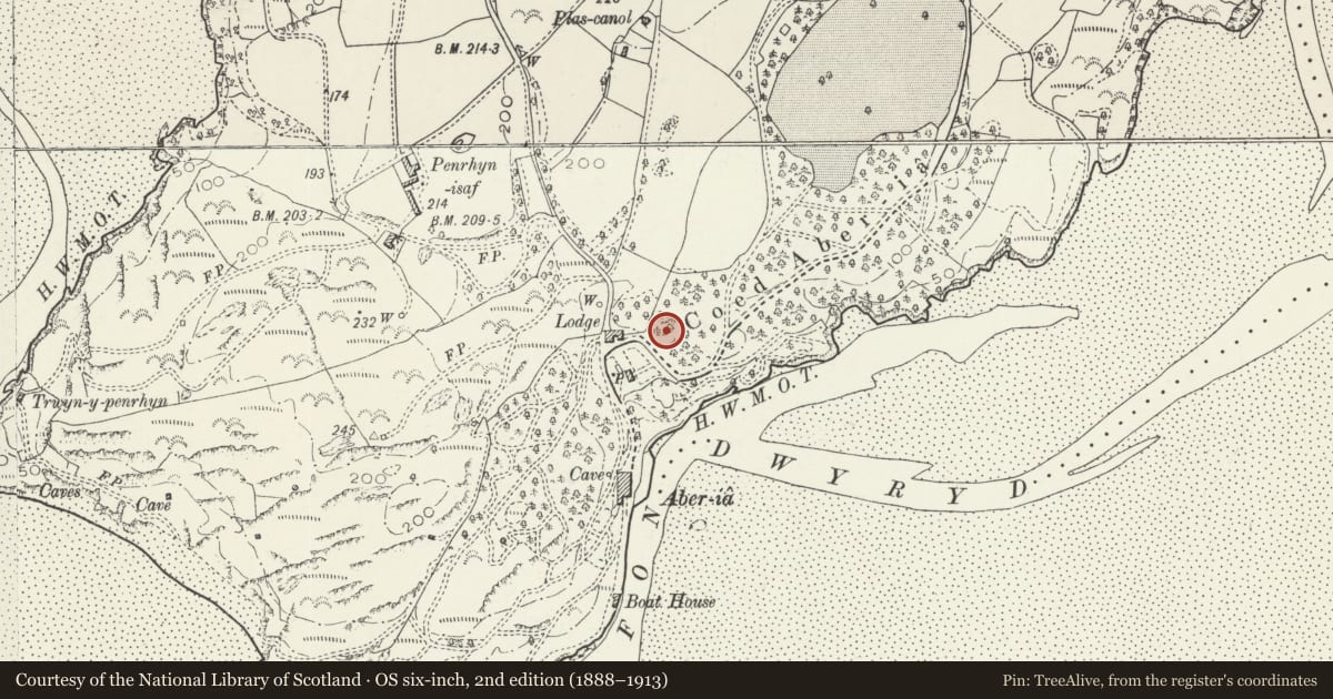 Ordnance Survey six-inch map, 2nd edition (1888–1913) covering the location of Villa Winch, Penrhyndeudraeth, Gwynedd, with a pin at the register's coordinates