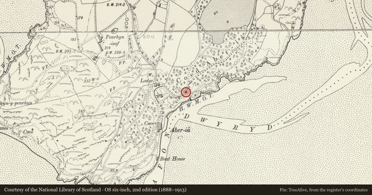 Ordnance Survey six-inch map, 2nd edition (1888–1913) covering the location of C19 Wall Adjoining Bridge House to the E, Penrhyndeudraeth, Gwynedd, with a pin at the register's coordinates